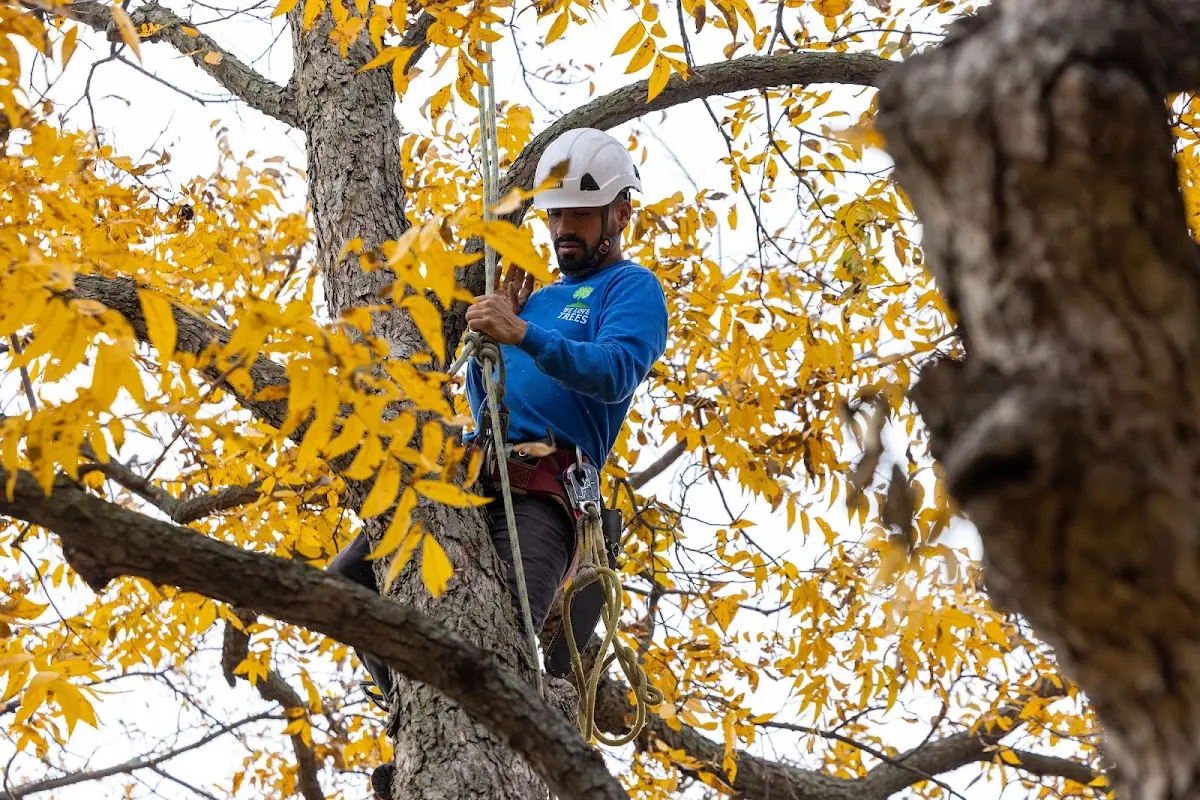 Skilled Storm Damage Cleanup crew working in South Britain