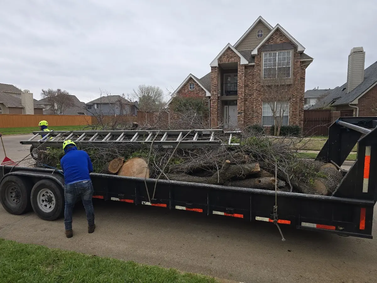 Expert Tree Removal with proper safety equipment in South Britain